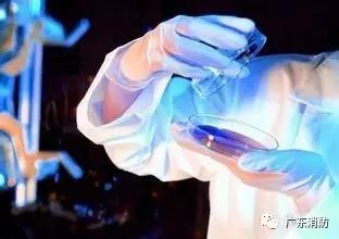 1627956781848756.jpg 10.jpg