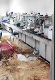 1627956804130633.jpg 11.jpg