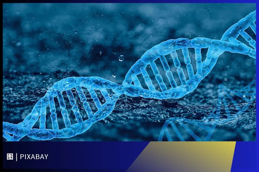 1634611555491222.jpg 4.jpg