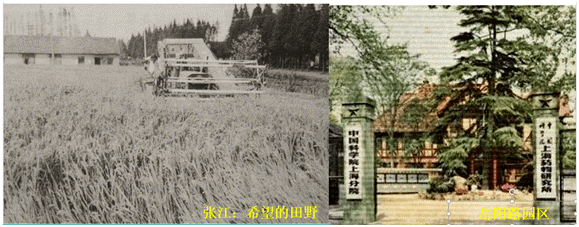 1637805108508608.jpg 664deb5c23da63562f9e21a2a41f3002.jpg