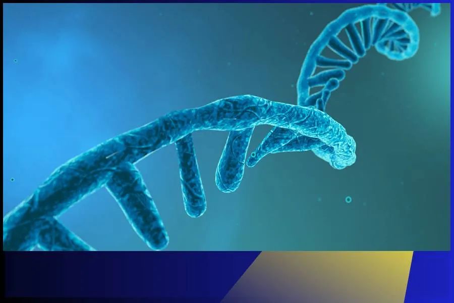 1643342300804224.jpg 5f26d9630c612381c6814ce9d8c0a24c.jpg