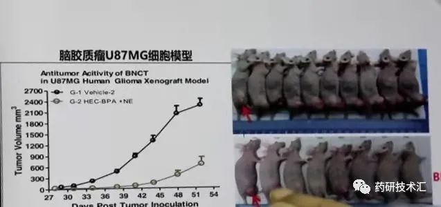 1645060740437324.jpg 1497d136c7c05b6e62a9c93077174c83.jpg