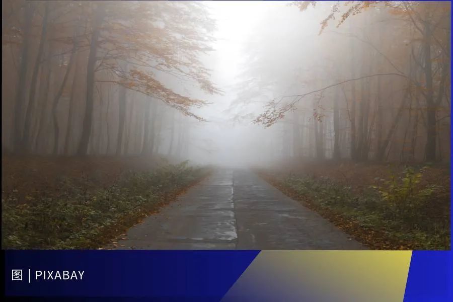 1646187788743045.jpg d7343bed1a7d51347444f59bc4d839ac.jpg