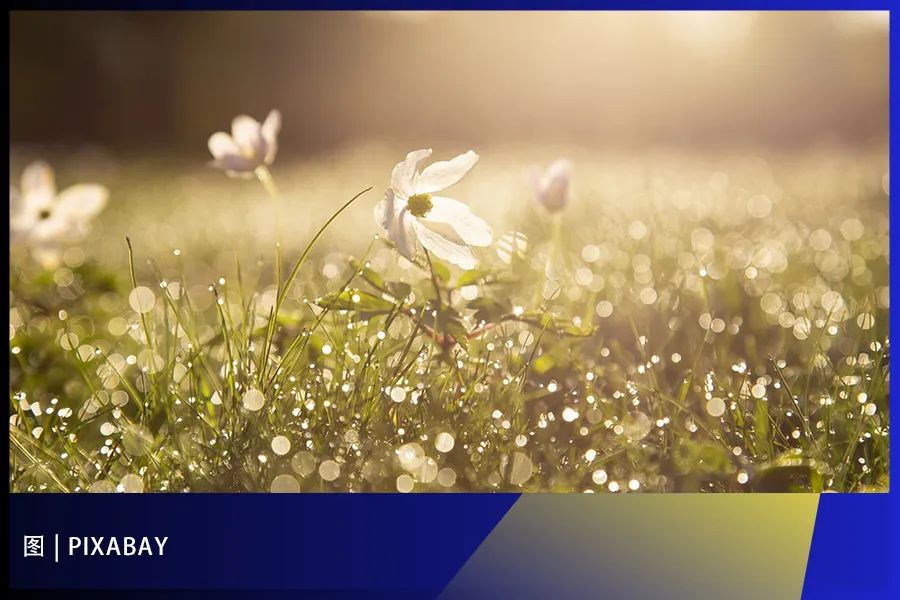 1646795212799537.jpg 0e961f57dab3c5ff73b6b646cfbc4487.jpg