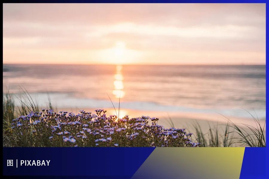 1646962160717603.jpg 6ce3e561a5811d609de33019b2046759.jpg