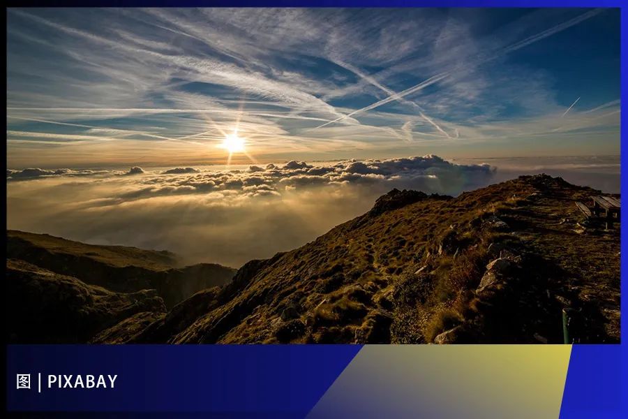 1649984135858978.jpg 65441503ff7e29a4c6c113cdef302a07.jpg