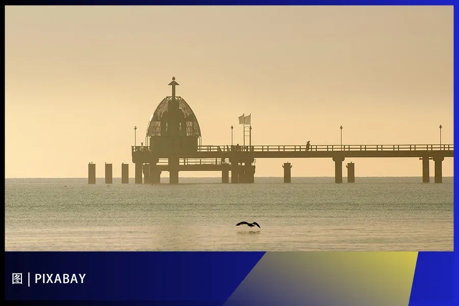 1652680289741472.jpg d5f92b6712f1bfa3ab296a6dbfee6d66.jpg