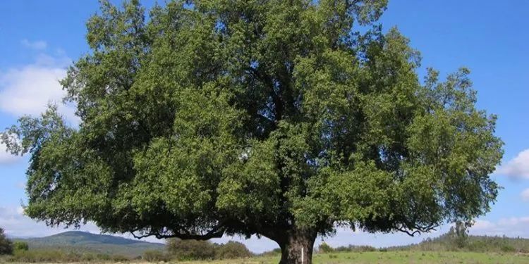 1655113142912143.jpg 17737cf05509853b6f39d8f3ca9fc79a.jpg