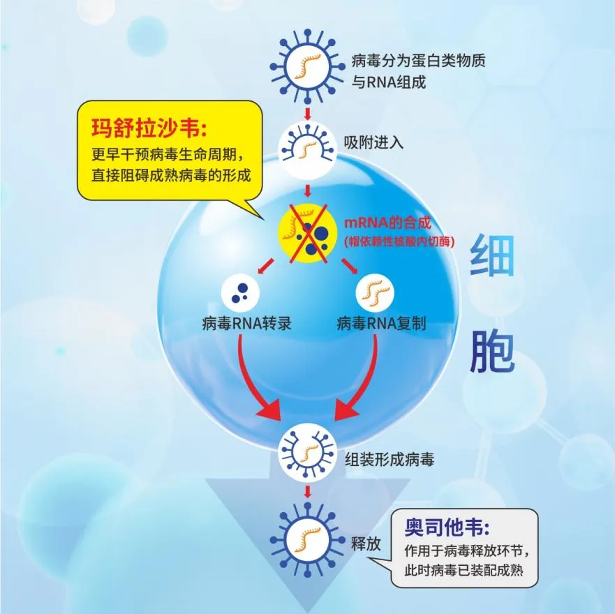 1721205133257348.png 640.png